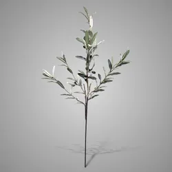 Olive Tall Fructus 120 cm