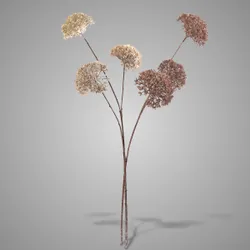 Brynxz Collections, SYLXZ, Zijde, Aardewerk, Landelijk, Rustiek, Vintage Majestic, stijlvol, landleven, verlichting, kaarsen, Kandelaar, Industrial, Spiegels, Smeedwerk, potten, waxinehouder, cylinder, Windlicht.