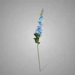 Delphinium Light Blue 79 cm
