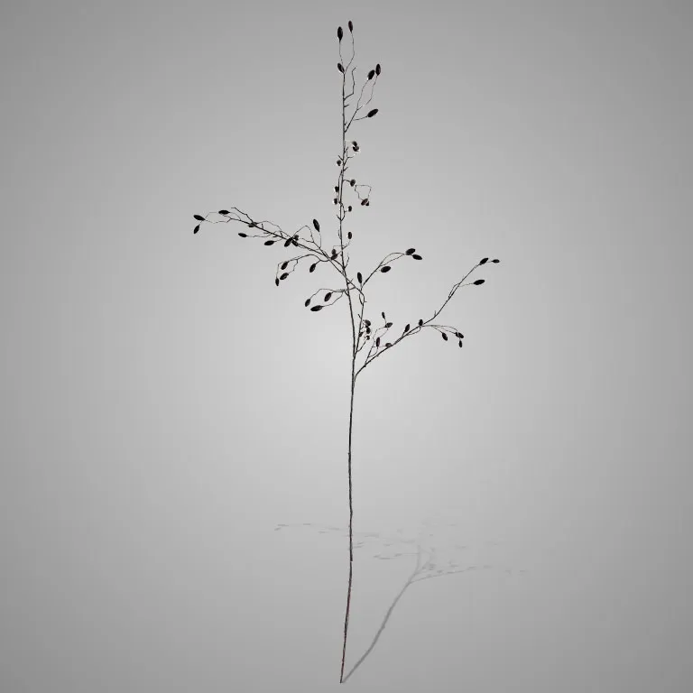 Wild Rose Bud Dark Red 145 cm