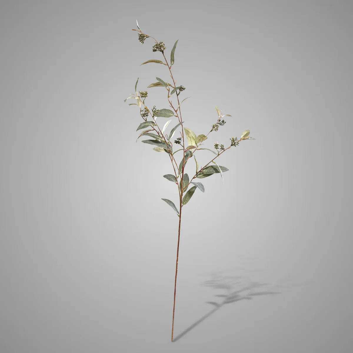 Salix Fructus Green 100 cm