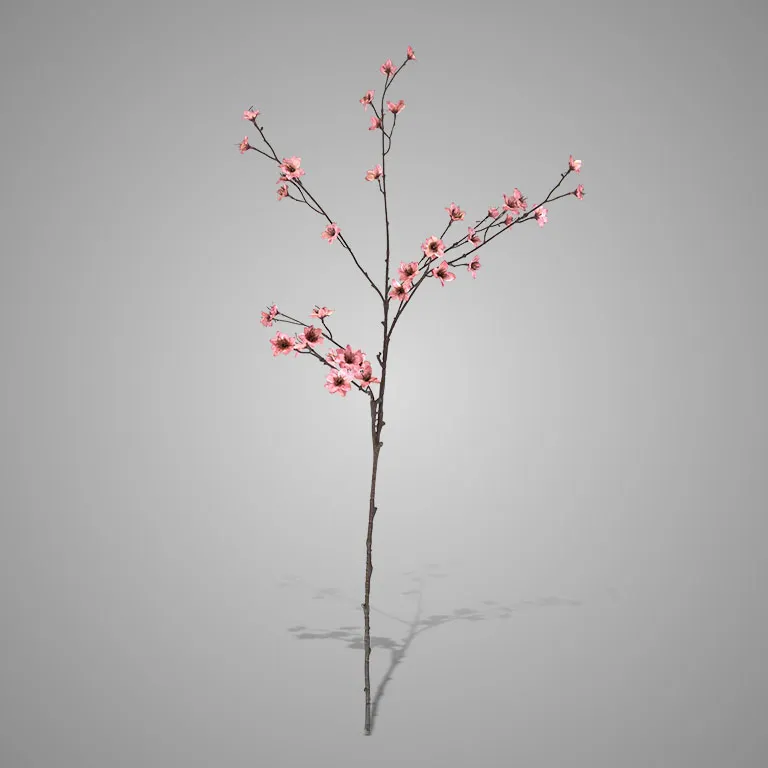 Cornus Grande Pink Deluxe 100 cm