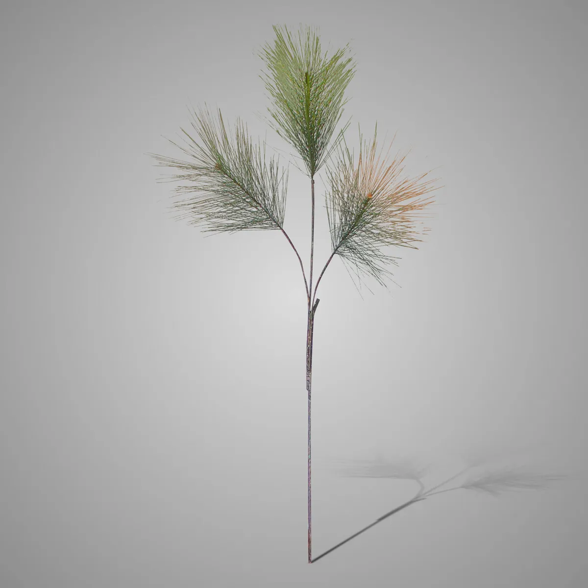 Pinus Twig With Cones 92 cm
