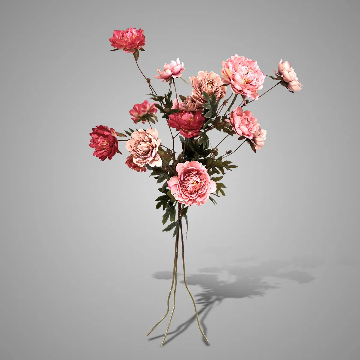 Sortment Ranunculus Sober Spring 92 cm
