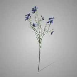 Wild Delphinium Blue 71 cm