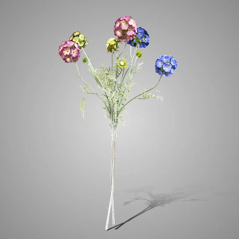 Sortment Scabiosa Multi Blue/Pink 64 cm