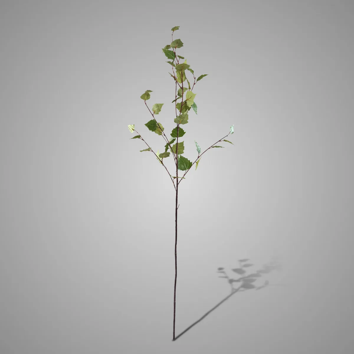 Betalu Twig Green 118 cm