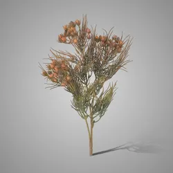 Brynxz Collections, SYLXZ, Zijde, Aardewerk, Landelijk, Rustiek, Vintage Majestic, stijlvol, landleven, verlichting, kaarsen, Kandelaar, Industrial, Spiegels, Smeedwerk, potten, waxinehouder, cylinder, Windlicht.