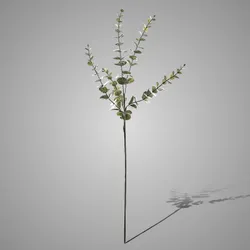 EUKALYPTHUSZWEIG, 73 CM, GRAU