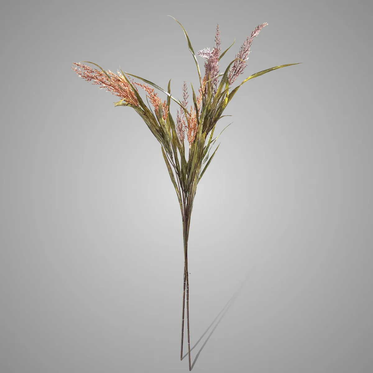 Sort. of 2 Carex Bundles 89 cm