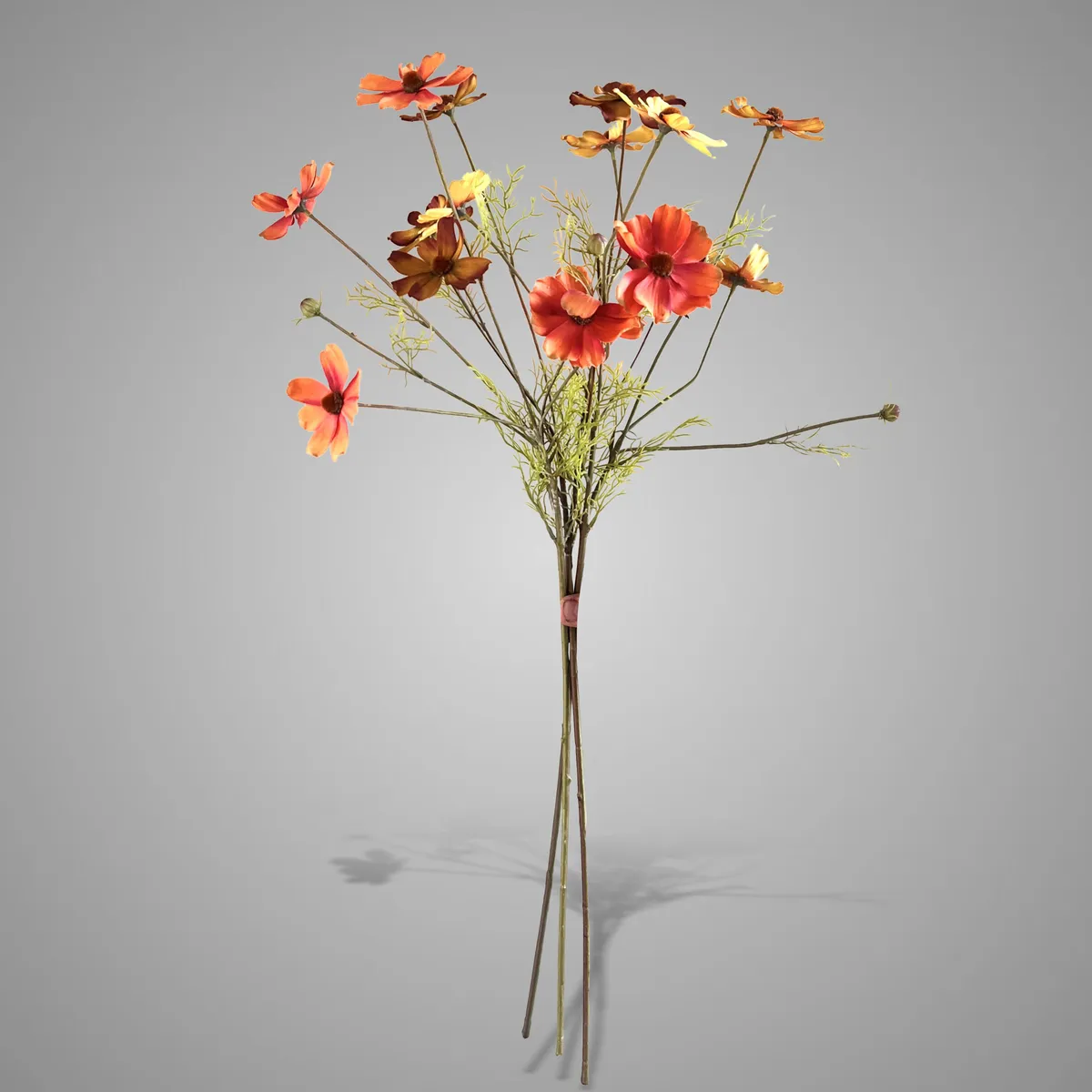 Sort. of 3 Cosmos Yellow Brown 78 cm