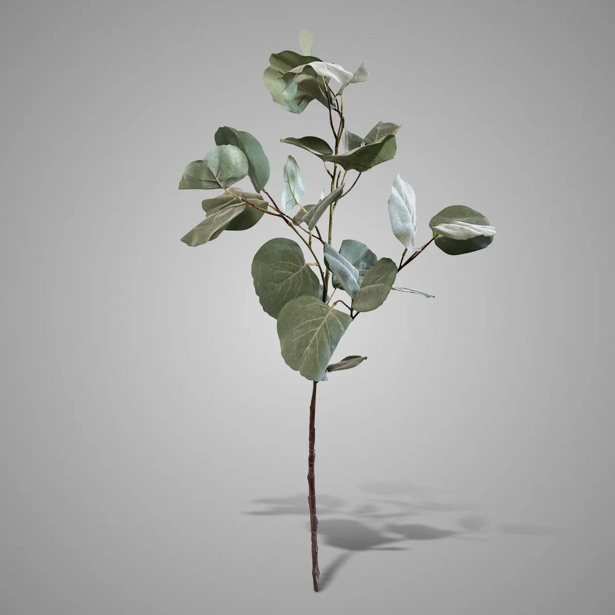 Eucalyptus Stem Grande Leaf 115 cm