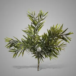 Bush Bamboo 42 cm