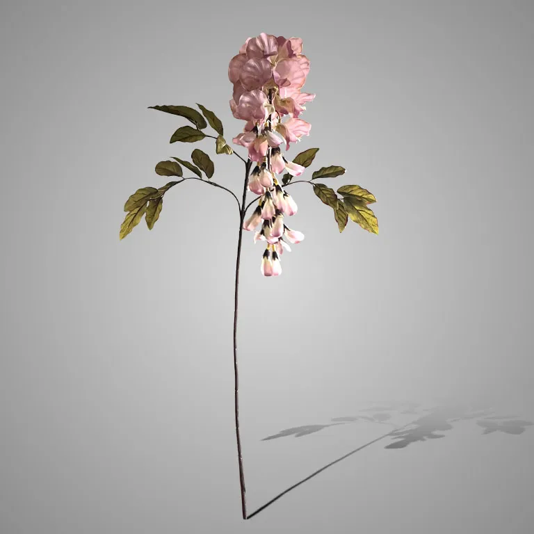 Wisteria Grande Pink 100 cm