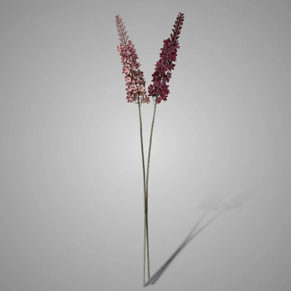 Sort. of 2 Alliums Autumn Range 88 cm