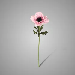 Single Anemone Pink 35 cm