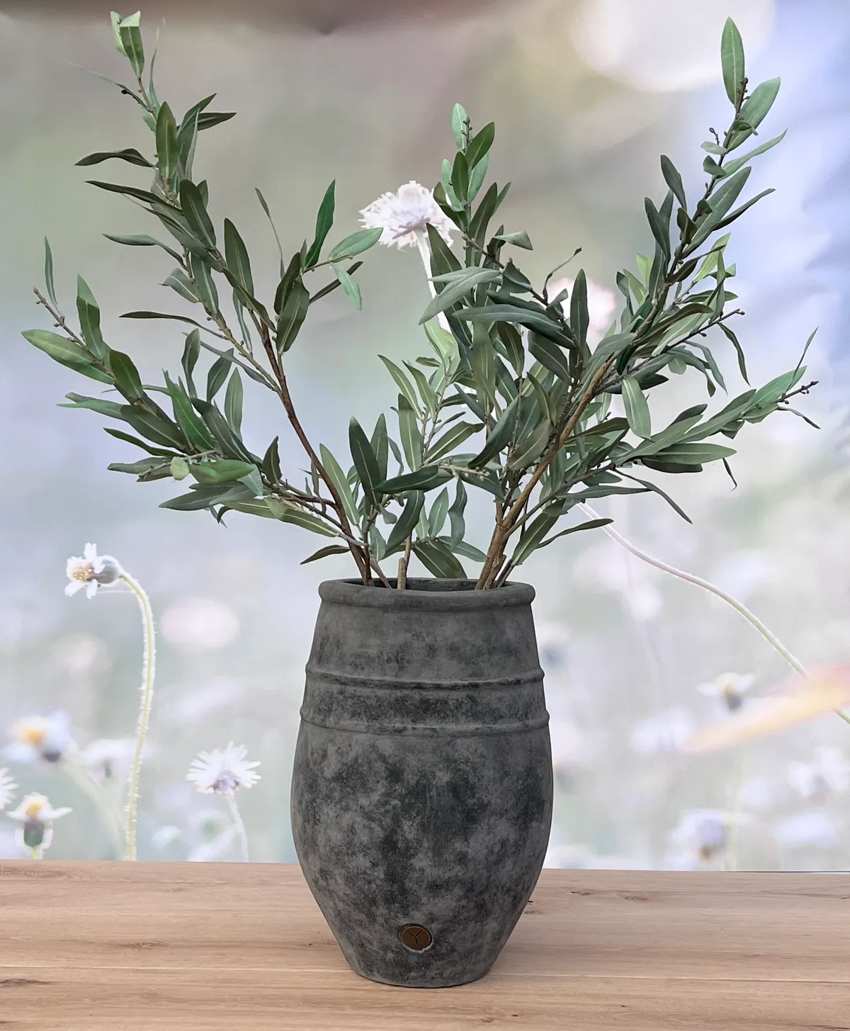 Over BRYNXZ Collections