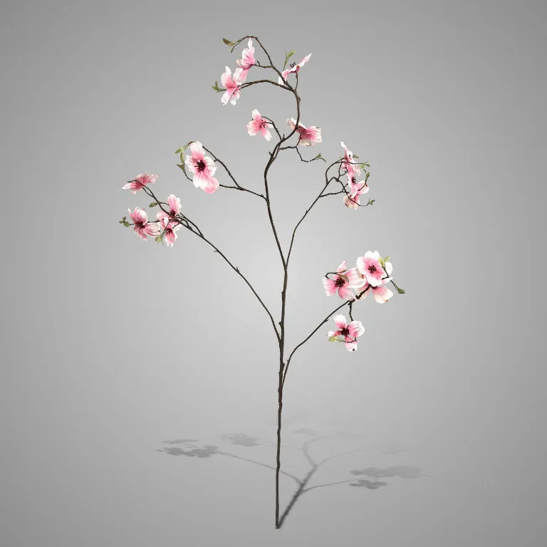 Cornus Excellent Grande Pink 110 cm