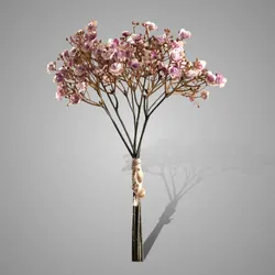 Bundle of 5 Stems Gypsophila Ant. Pink 30 cm