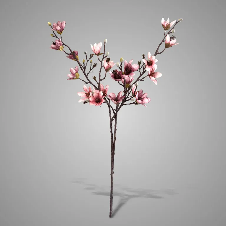 Sortment Magnolia Pink 92 cm