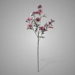 Chrysanthemum Purple 90 cm