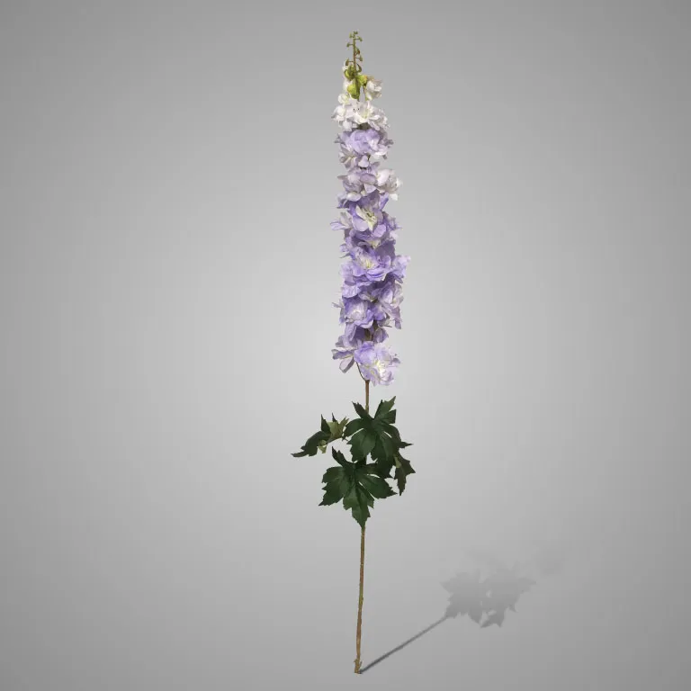 Delphinium Grande Spring Purple 105 cm