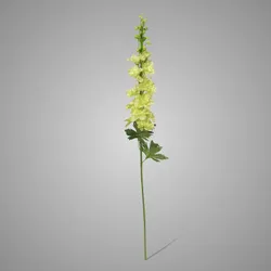 Delphinium Light Green 79 cm