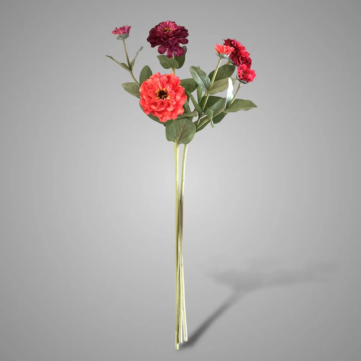 Sort. of 3 Zinia Wild Orange Red Range 66 cm