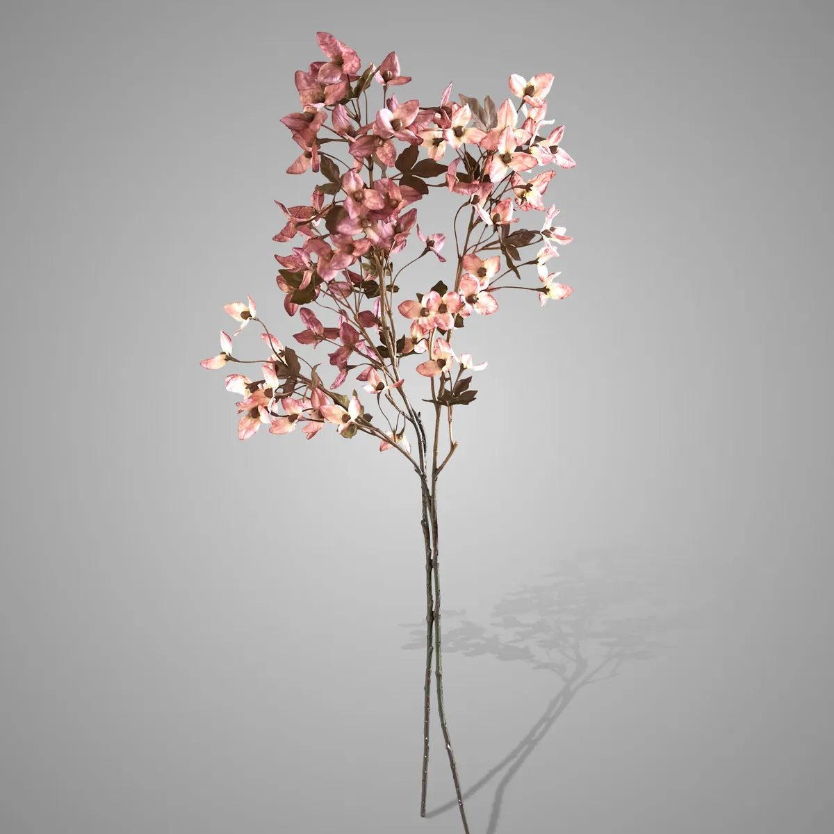 Sort. of 2 Singleflower Stem Pink Range 75 cm