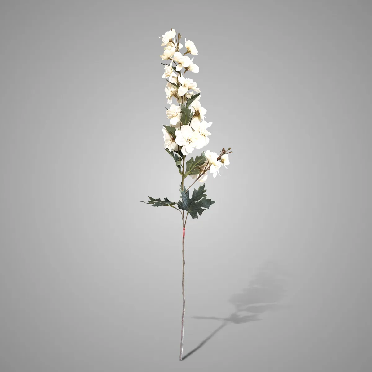 Delphinium White 82cm