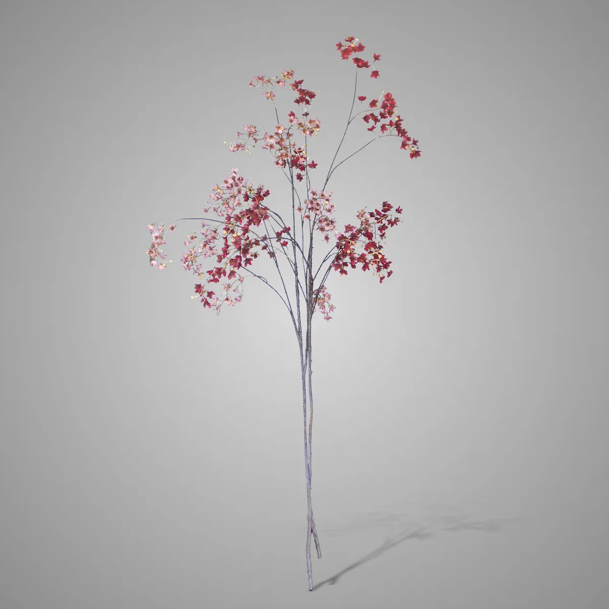 Sort. of 2 Spirea Autumn Range 120 cm