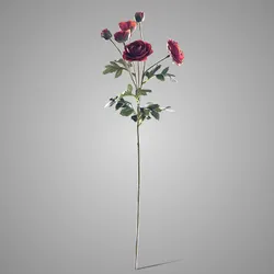 Ranunculus Dark Orange 66 cm