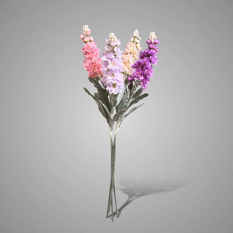 Sortment of Antirrhinum Springrange 80 cm