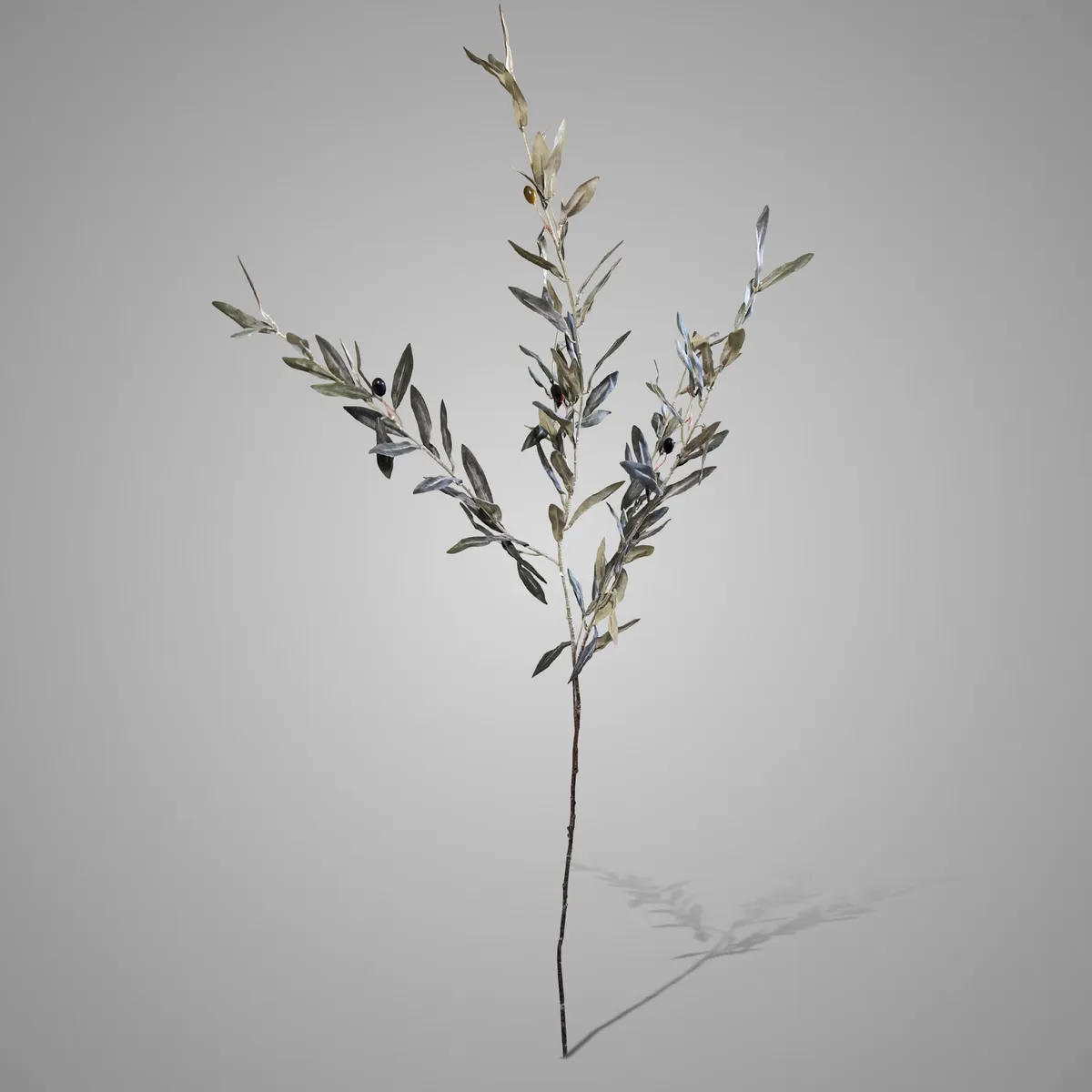 Olive Ancient Grey 110 cm