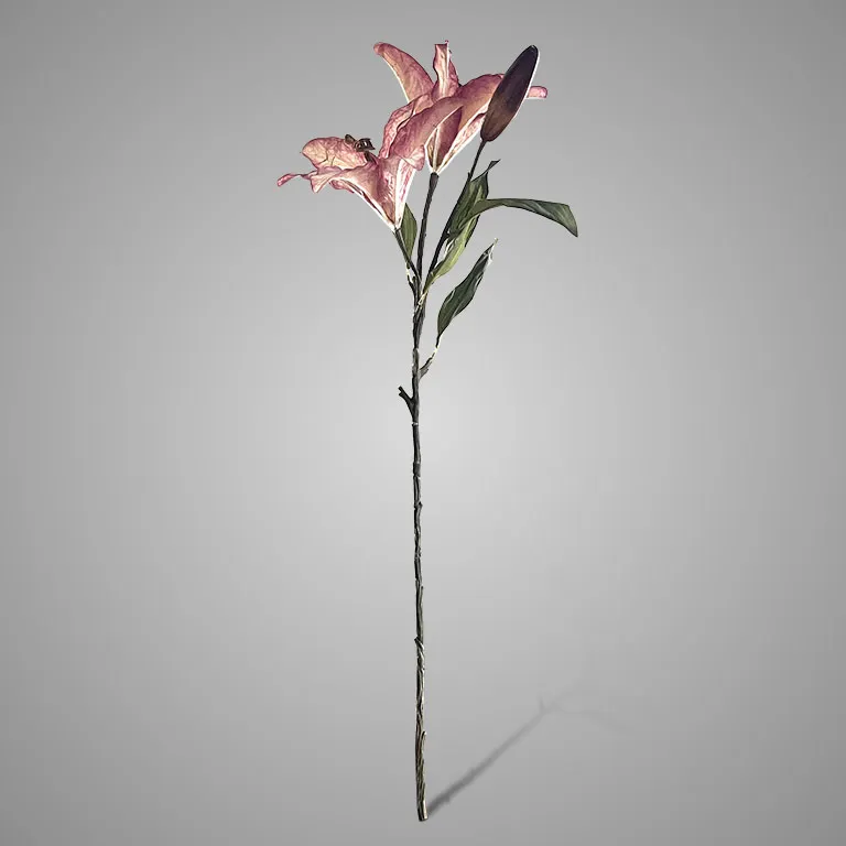 Lilium Dark Pink 90 cm