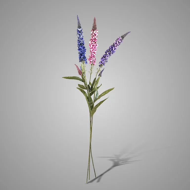 Sortment of Salvia Spring 76 cm