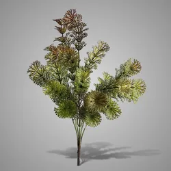 Bush Bamboo Finest Sylxz Autumn 42 cm