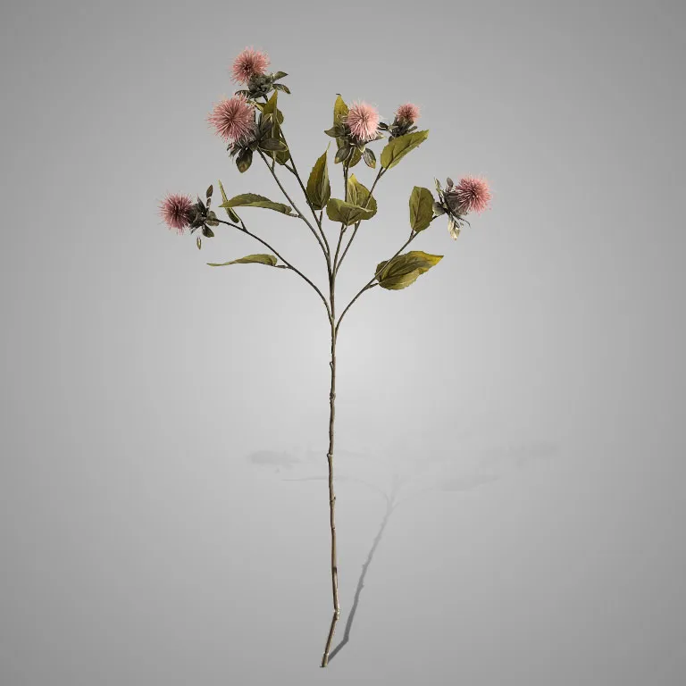 Thistle Ant. Pink 80 cm