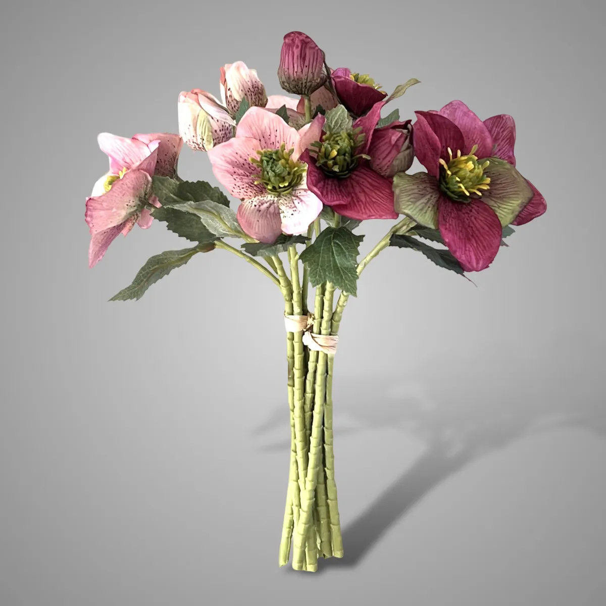 Sort. of 2 Helleborus Pink Range Bundle5 31 cm