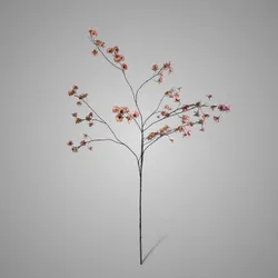 Cornus Carved Grande Pink 135 cm