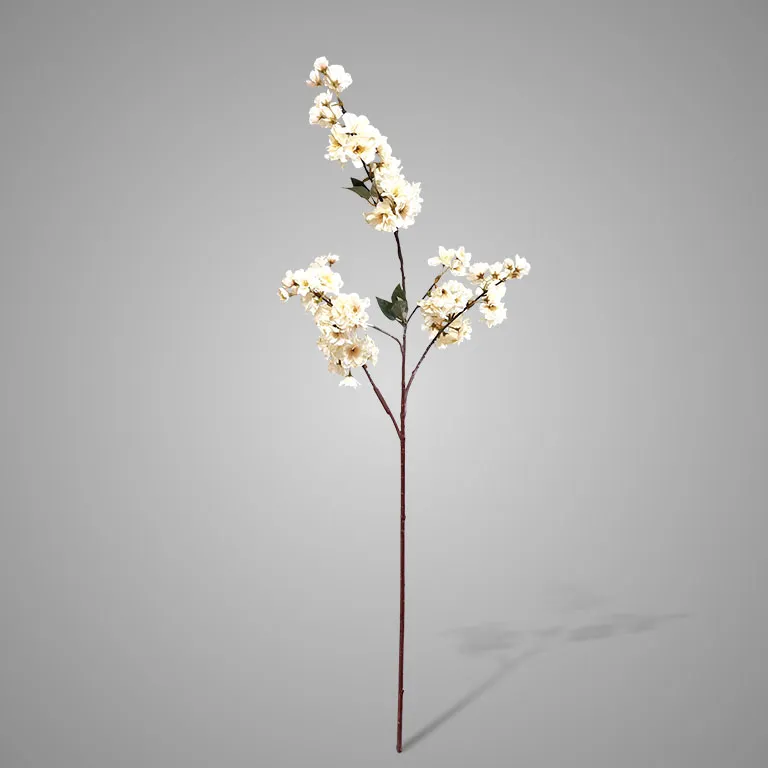 Prunus Sakura White 100 cm