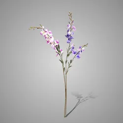 Sortment of Lathyrus Purple/Blue 92 cm