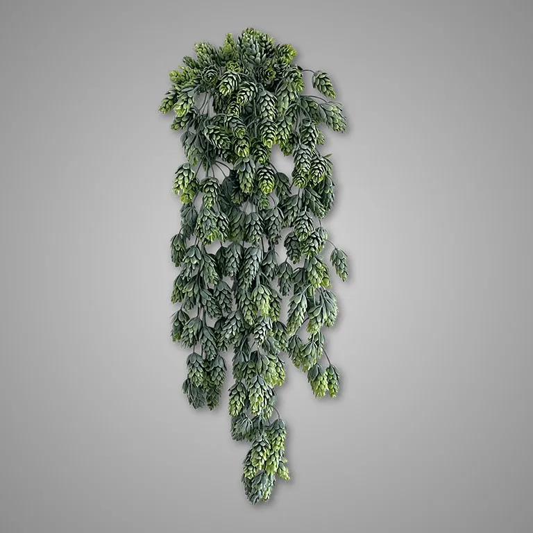 Humulus Green 73 cm