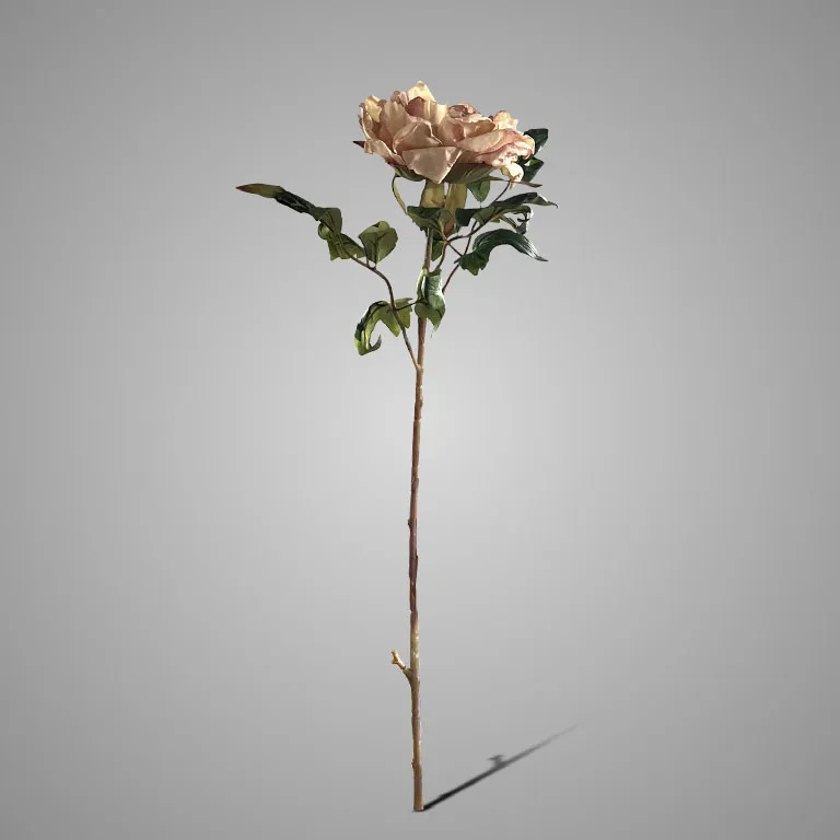 Peony Yellow Pink 65 cm