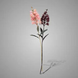 Sortment Agave Flower Spring Sober 76 cm