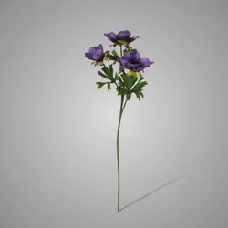 Anemone Purple 56 cm