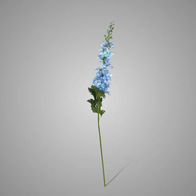Delphinium Light Blue 79 cm