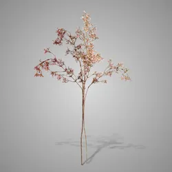 Sortment of Waxflower Buds Pink 92 cm
