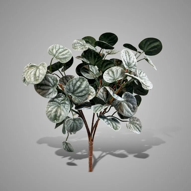 Bush Saintpaulia Dark Green 35 cm