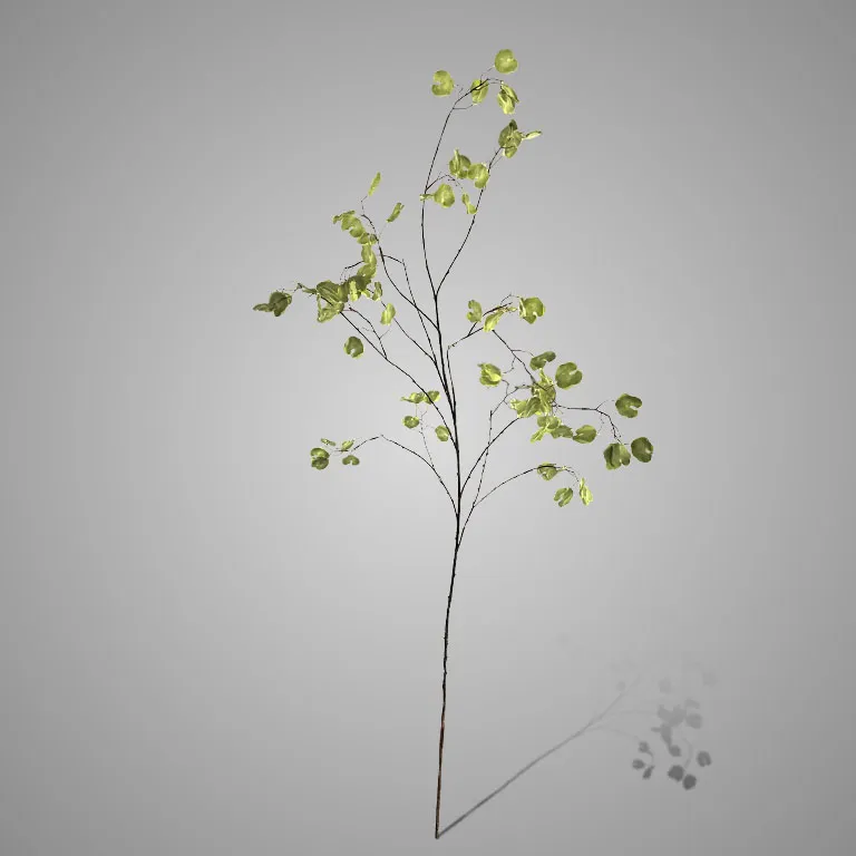 Silver Dollar Spray Lalu Green 138 cm